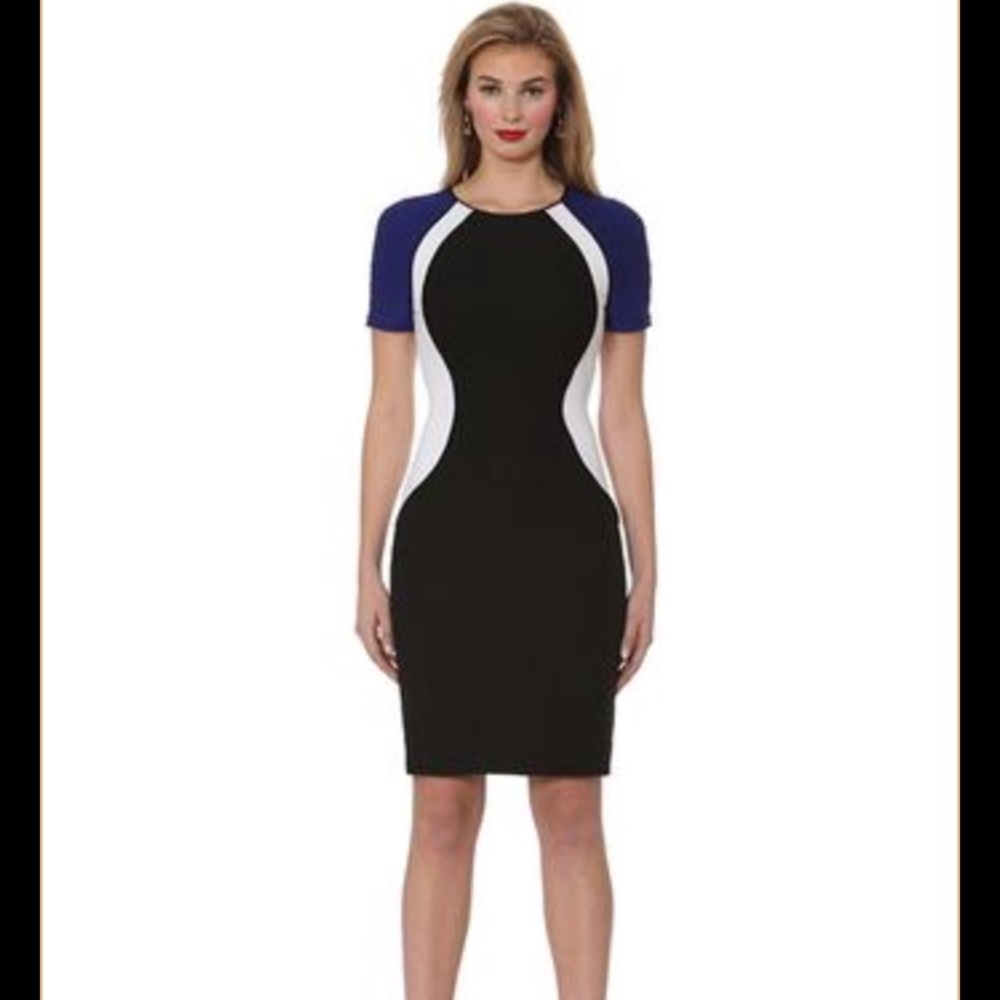 NWT Nue by Shani Dress Size 8